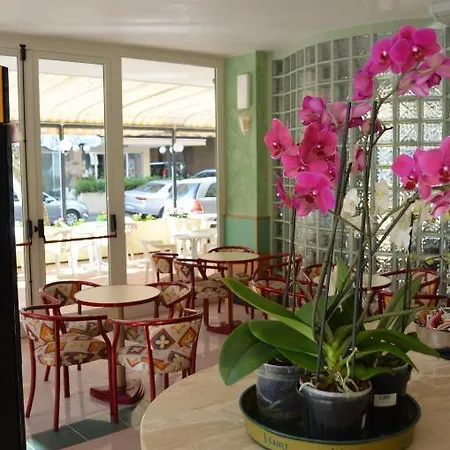 Aiglon 3* Ρίμινι